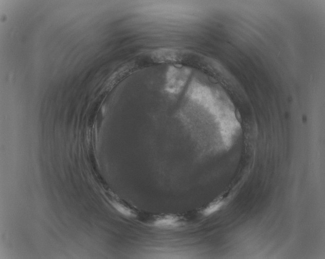 X0000060790125200512082134