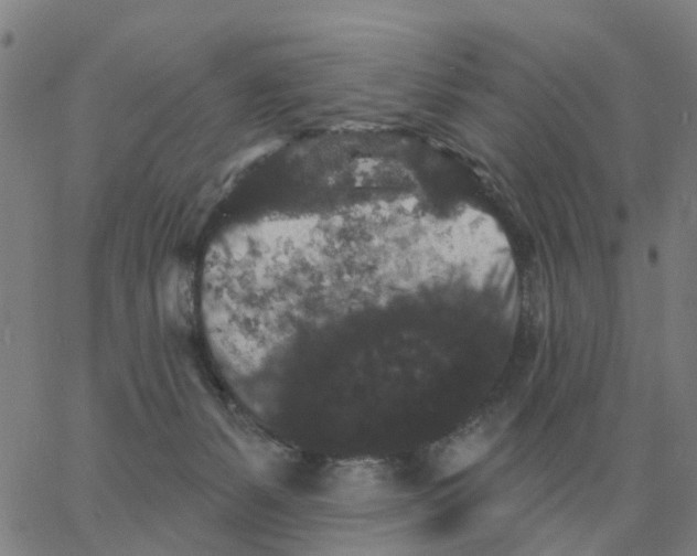 X0000060790127200512082134