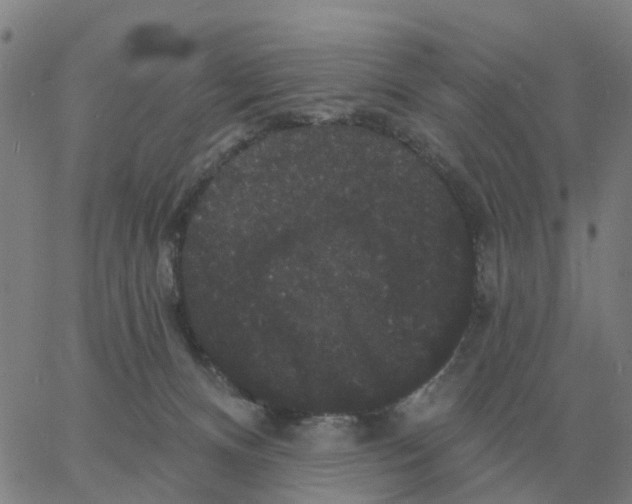 X0000060790128200512082134