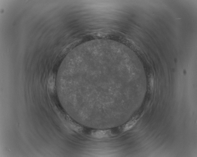 X0000060790129200512082134