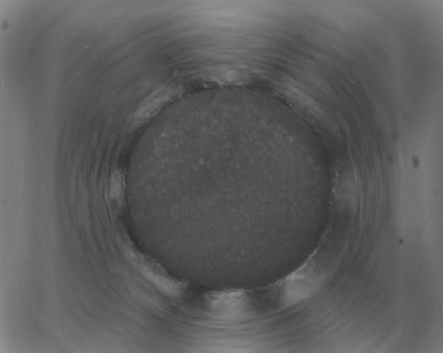 X0000060790132200512082134