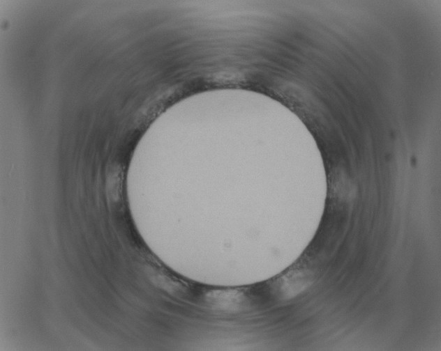 X0000060790133200512082134