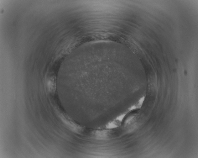 X0000060790134200512082134