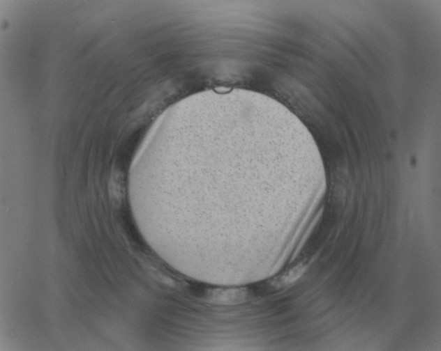 X0000060790135200512082134