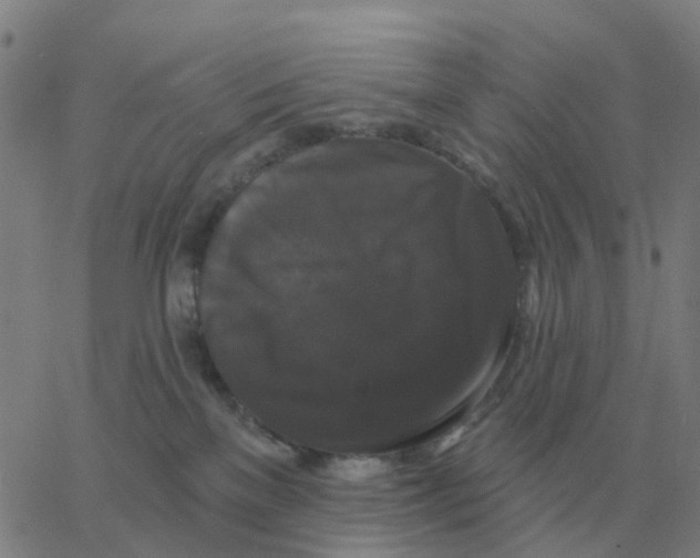 X0000060790137200512082134