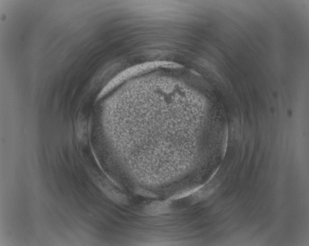 X0000060790138200512082134