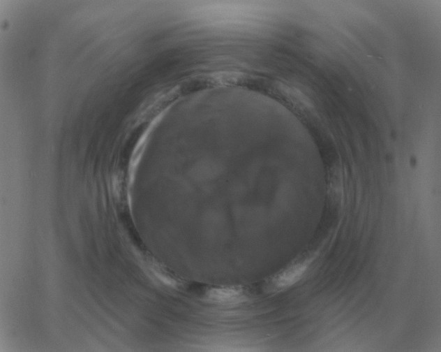 X0000060790139200512082134