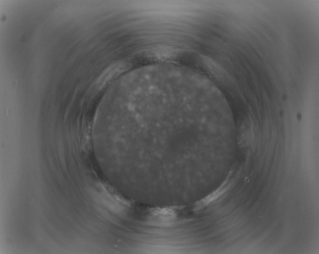 X0000060790140200512082133