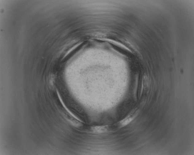 X0000060790141200512082133