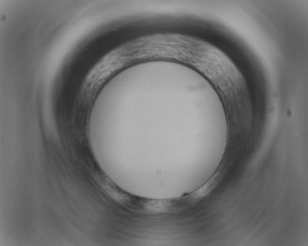 X0000060790142200512082133