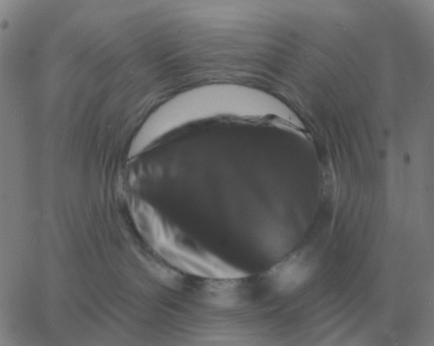 X0000060790143200512082133