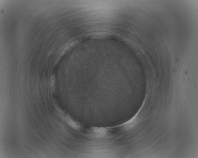 X0000060790144200512082133