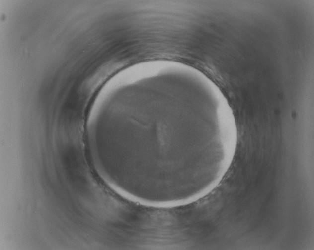 X0000060790146200512082133