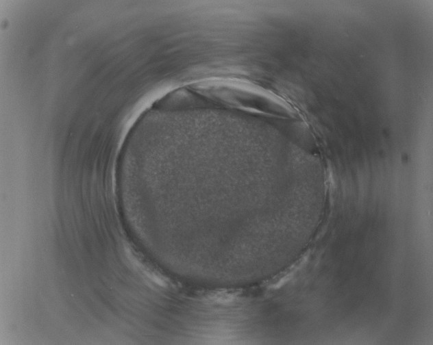 X0000060790148200512082133