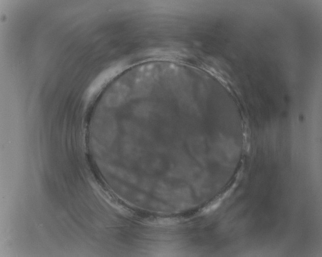 X0000060790149200512082133