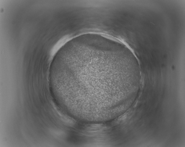 X0000060790151200512082133