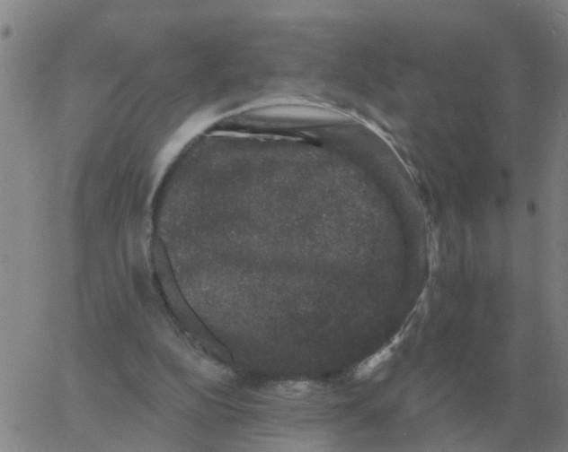 X0000060790152200512082133