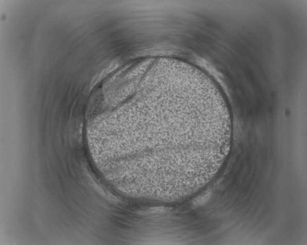 X0000060790153200512082133