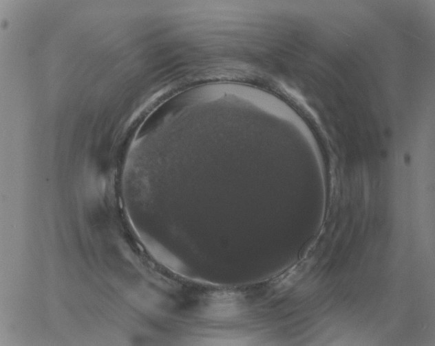 X0000060790154200512082133