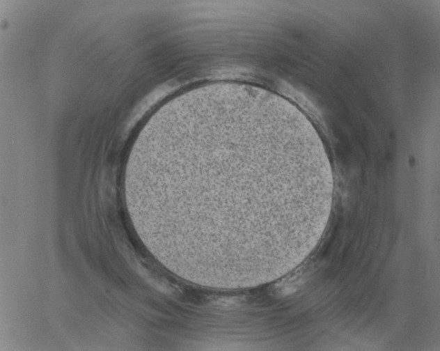 X0000060790155200512082133