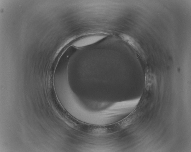 X0000060790156200512082133