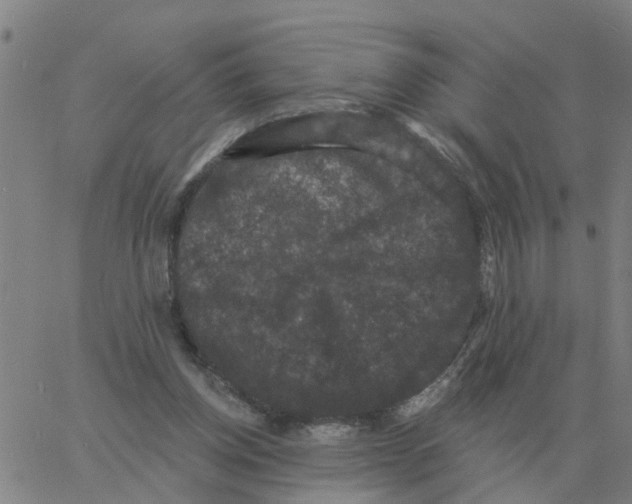 X0000060790158200512082133