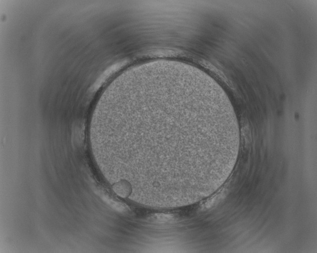 X0000060790159200512082133