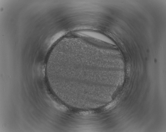 X0000060790160200512082133