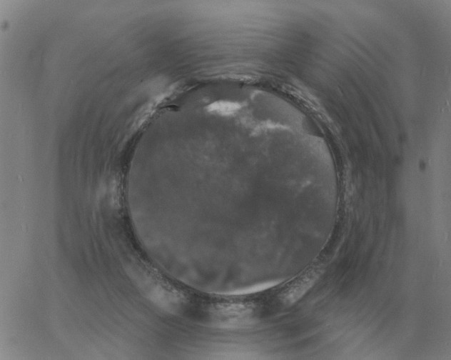 X0000060790161200512082133