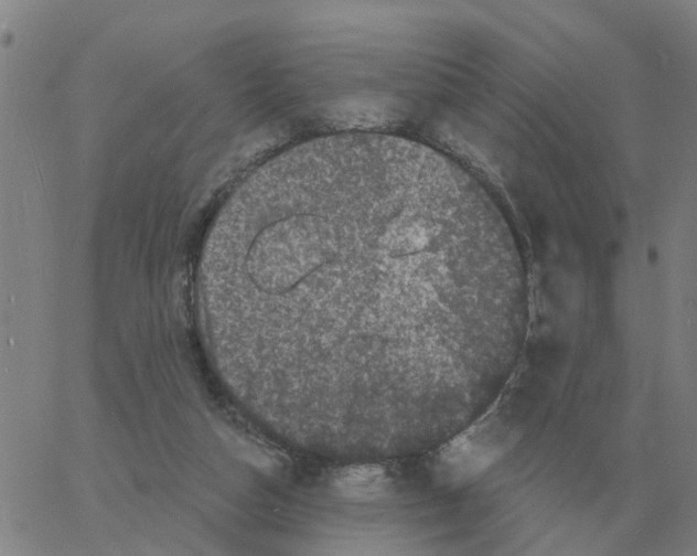 X0000060790162200512082133