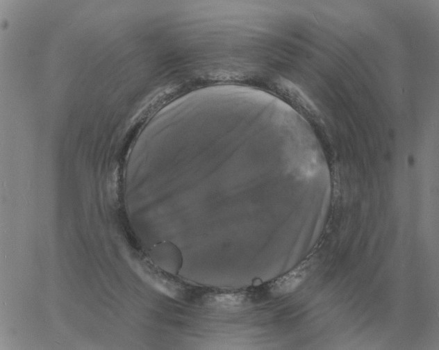 X0000060790163200512082133