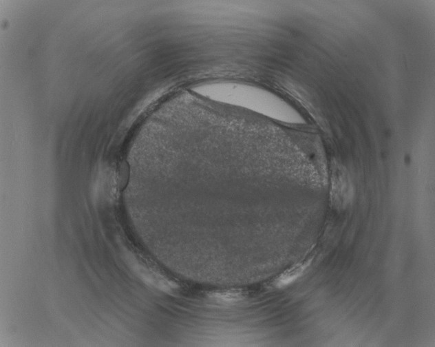 X0000060790164200512082133