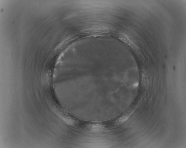 X0000060790165200512082133