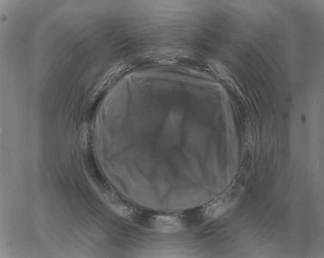 X0000060790167200512082133