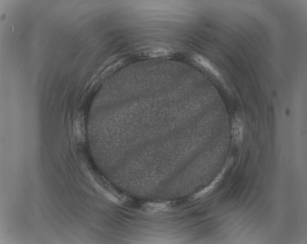 X0000060790170200512082133