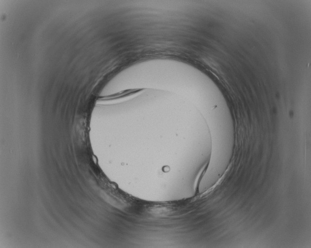 X0000060790171200512082133