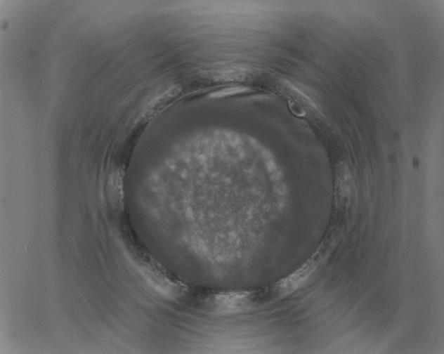 X0000060790172200512082133