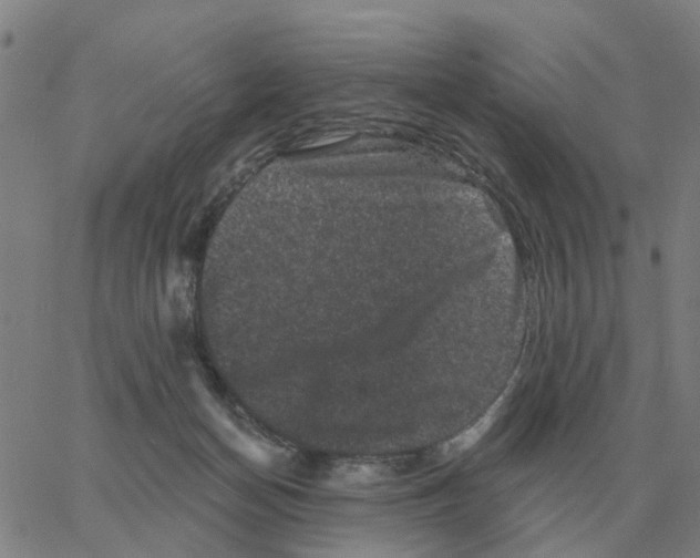 X0000060790174200512082133