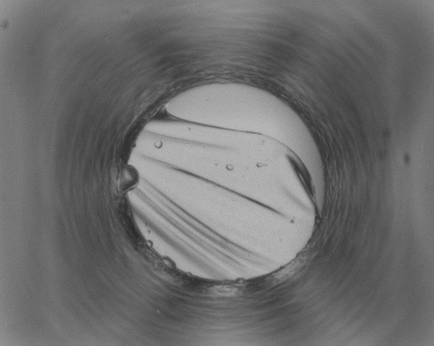 X0000060790176200512082133