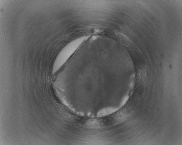 X0000060790177200512082133