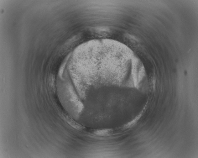 X0000060790178200512082133