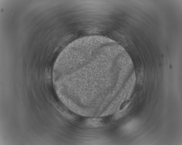 X0000060790179200512082133