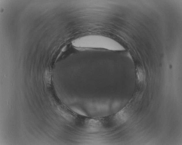 X0000060790180200512082133