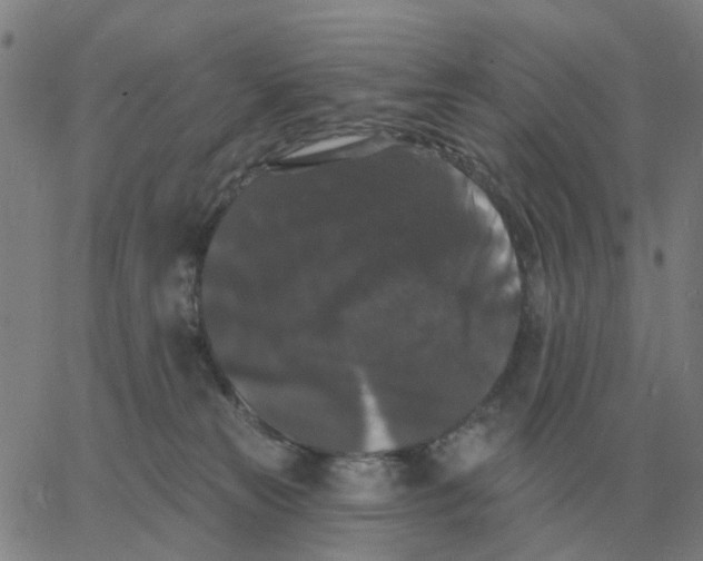 X0000060790181200512082133