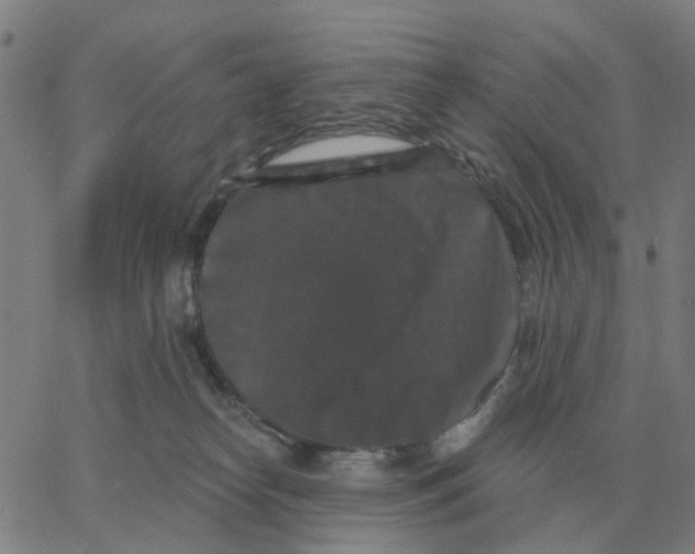 X0000060790182200512082133