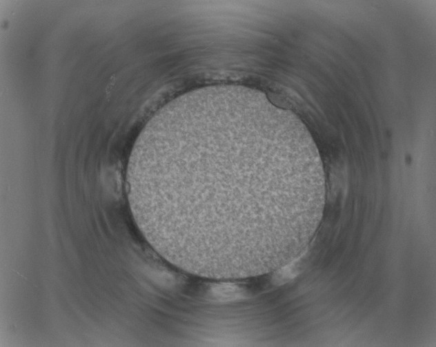 X0000060790183200512082133