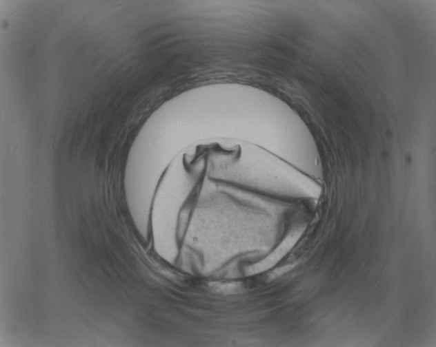 X0000060790185200512082133