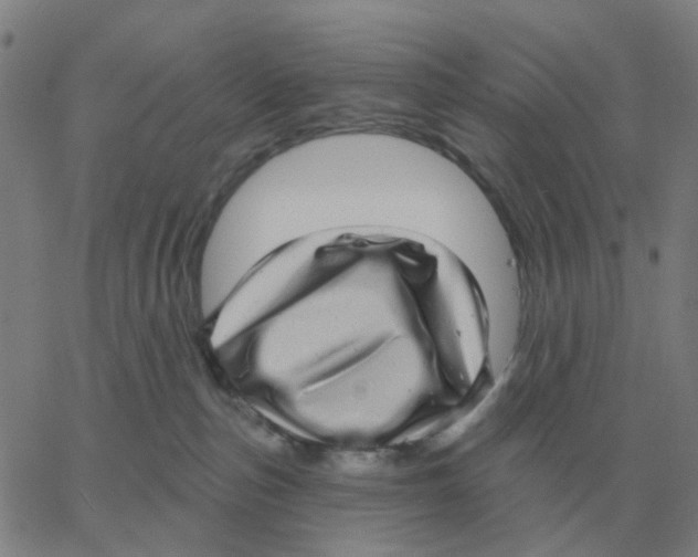 X0000060790187200512082133