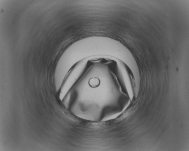 X0000060790188200512082133