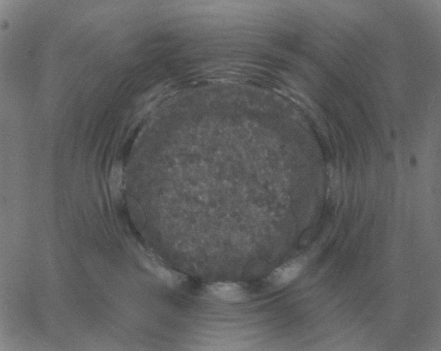 X0000060790189200512082133